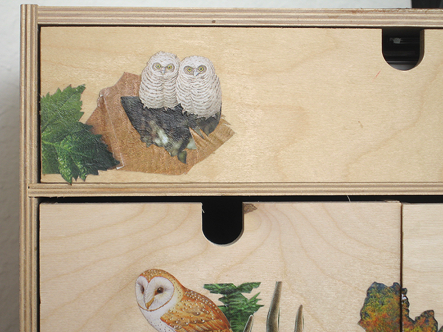 owl drawers 2